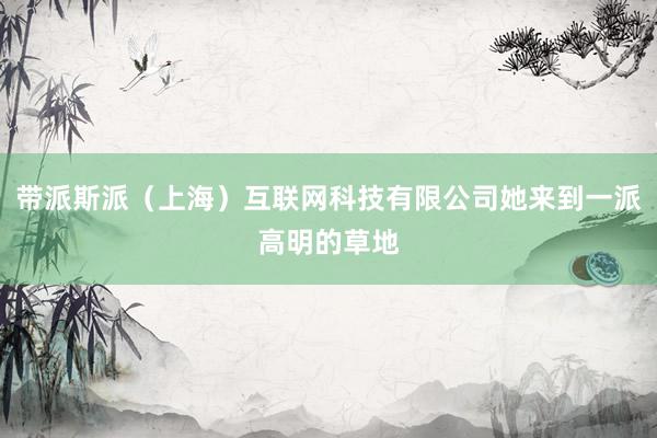 带派斯派(上海)互联网科技有限公司她来到一派高明的草地
