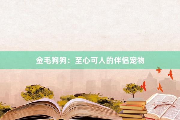 金毛狗狗：至心可人的伴侣宠物
