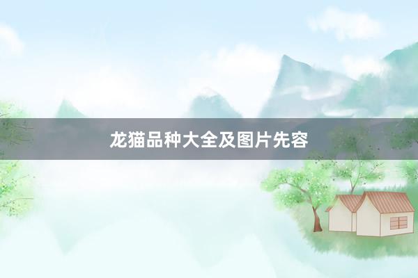 龙猫品种大全及图片先容